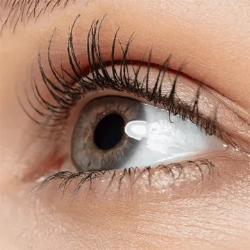 lash-lift-and-tint