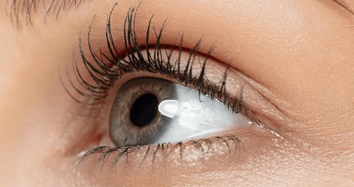 what-is-lash-lift-and-tint